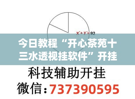 今日教程“开心茶苑十三水透视挂软件”开挂(透视)辅助教程