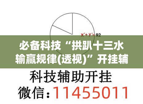 必备科技“拱趴十三水输赢规律(透视)”开挂辅助脚本+详细开挂安装教程