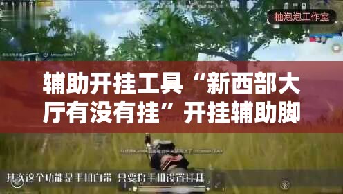 辅助开挂工具“新西部大厅有没有挂”开挂辅助脚本+详细开挂安装教程