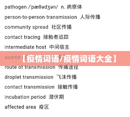 【疫情词语/疫情词语大全】