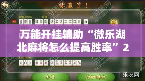 万能开挂辅助“微乐湖北麻将怎么提高胜率	”2026开挂教程步骤