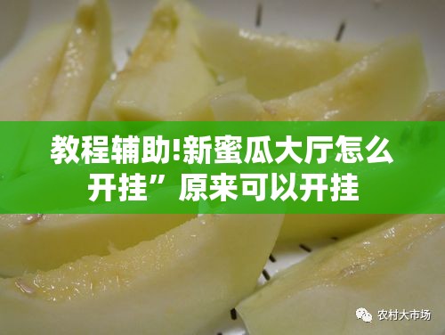 教程辅助!新蜜瓜大厅怎么开挂”原来可以开挂