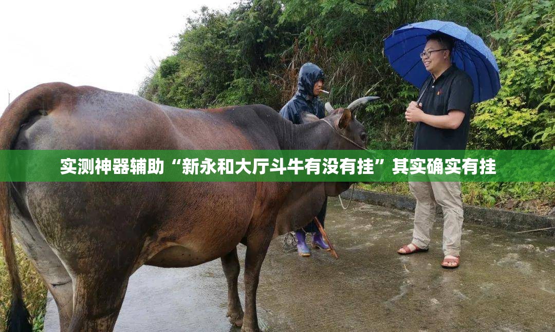 实测神器辅助“新永和大厅斗牛有没有挂”其实确实有挂