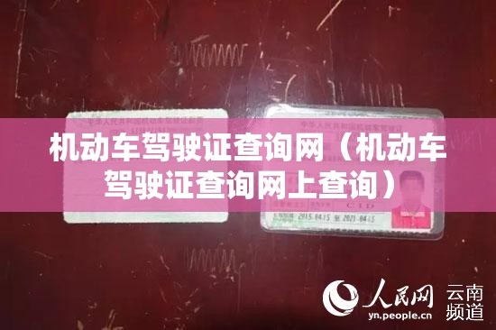 机动车驾驶证查询网（机动车驾驶证查询网上查询）