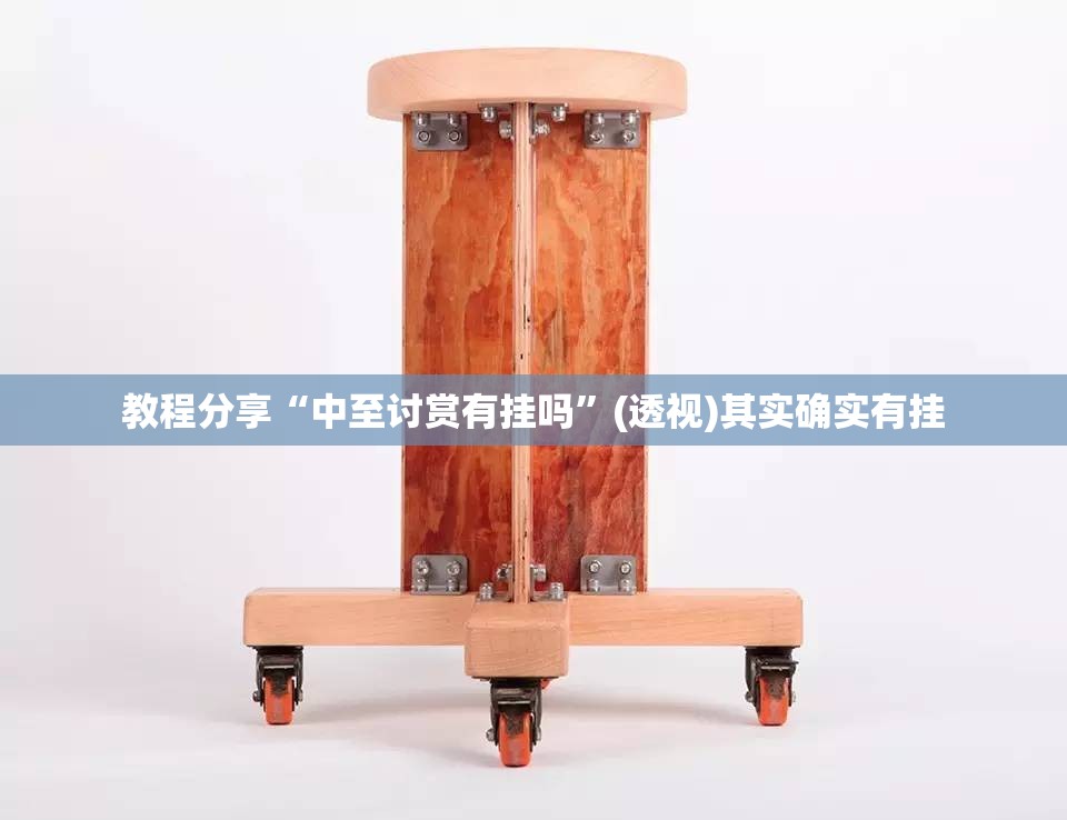 教程分享“中至讨赏有挂吗	”(透视)其实确实有挂