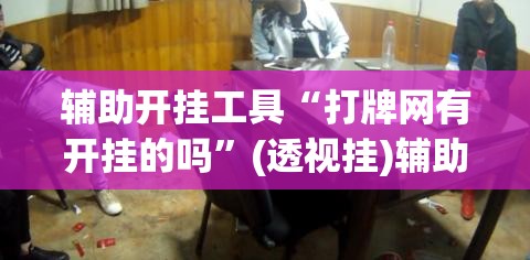 辅助开挂工具“打牌网有开挂的吗”(透视挂)辅助下载教程