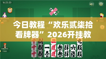 今日教程“欢乐贰柒拾看牌器”2026开挂教程步骤