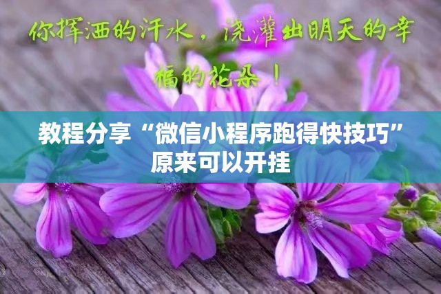 教程分享“微信小程序跑得快技巧	”原来可以开挂