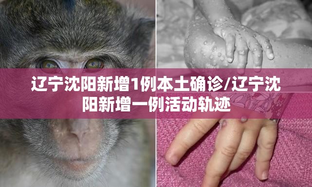 辽宁沈阳新增1例本土确诊/辽宁沈阳新增一例活动轨迹