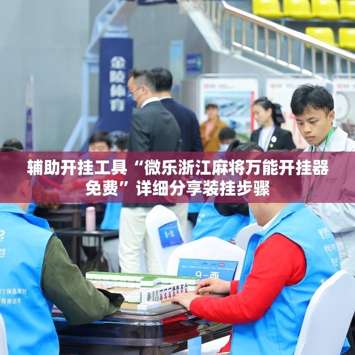 辅助开挂工具“微乐浙江麻将万能开挂器免费	”详细分享装挂步骤