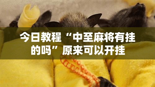 今日教程“中至麻将有挂的吗”原来可以开挂