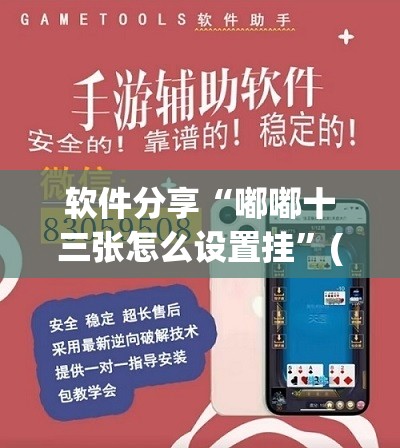 软件分享“嘟嘟十三张怎么设置挂”(透视挂)辅助下载教程