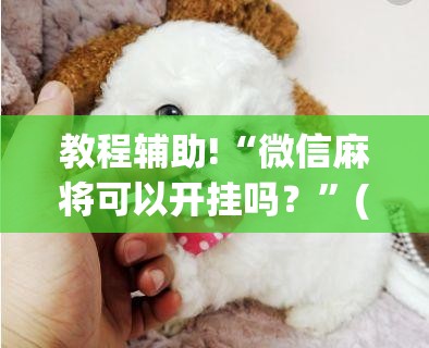 教程辅助!“微信麻将可以开挂吗？”(辅助神器)开挂详细教程