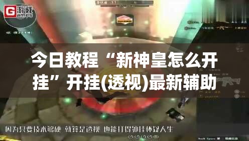 今日教程“新神皇怎么开挂”开挂(透视)最新辅助详细