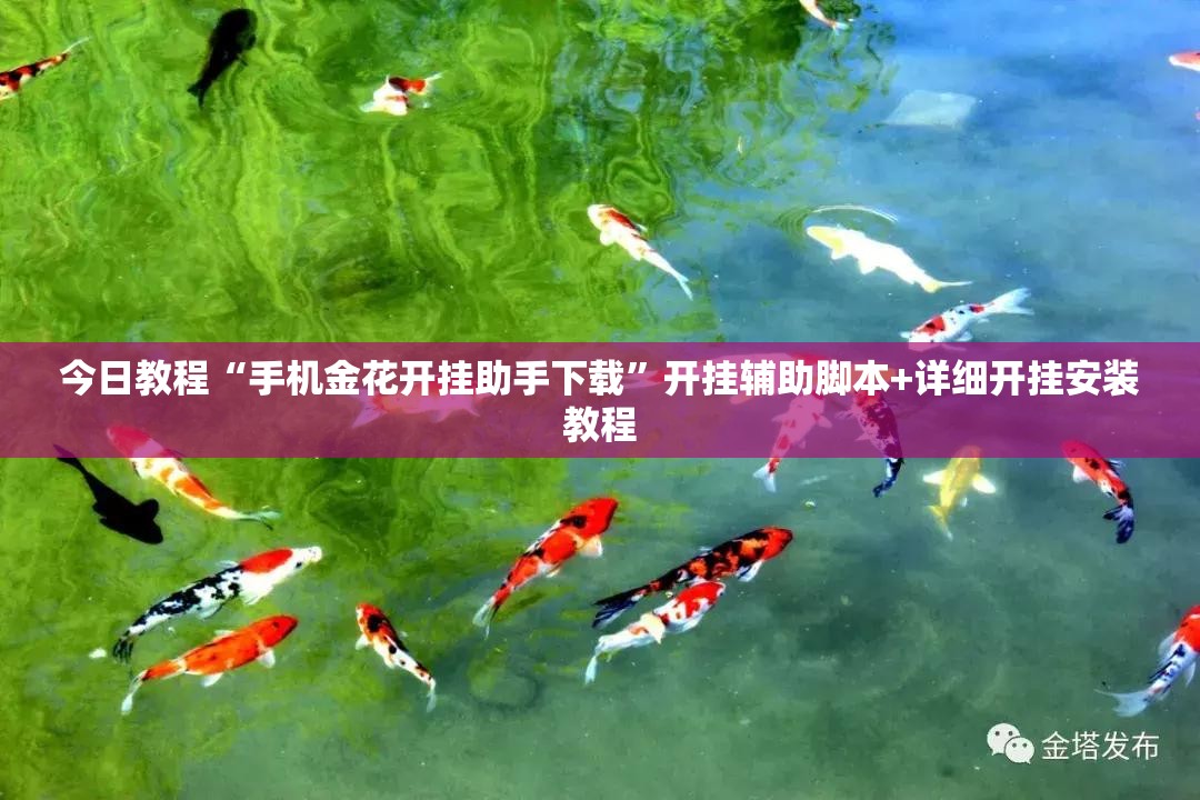 今日教程“手机金花开挂助手下载”开挂辅助脚本+详细开挂安装教程
