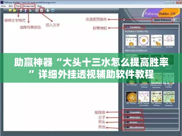 助赢神器“大头十三水怎么提高胜率”详细外挂透视辅助软件教程