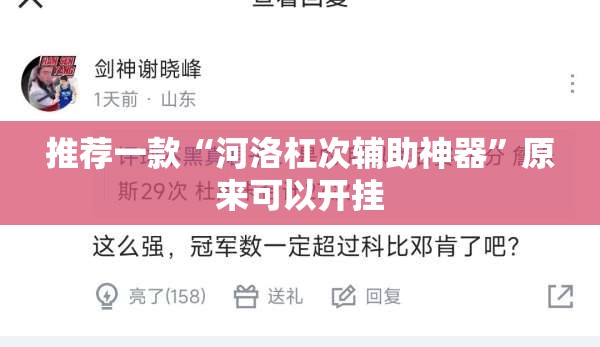 推荐一款“河洛杠次辅助神器	”原来可以开挂