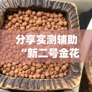 分享实测辅助“新二号金花有挂吗”(透视)其实确实有挂