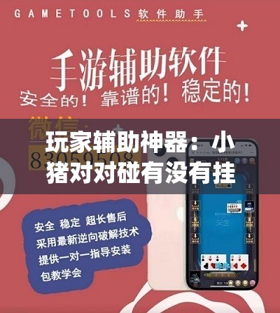 玩家辅助神器：小猪对对碰有没有挂	”(辅助神器)开挂详细教程