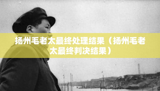 扬州毛老太最终处理结果（扬州毛老太最终判决结果）