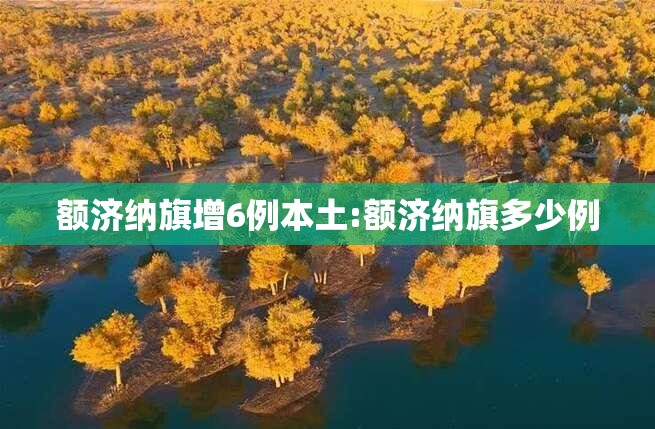额济纳旗增6例本土:额济纳旗多少例 额济纳旗增6例本土:额济纳旗多少例