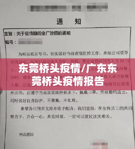 东莞桥头疫情/广东东莞桥头疫情报告