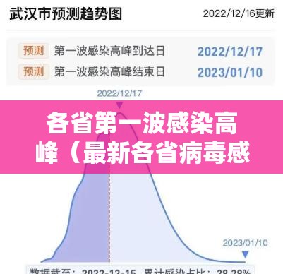 各省第一波感染高峰（最新各省病毒感染2020）
