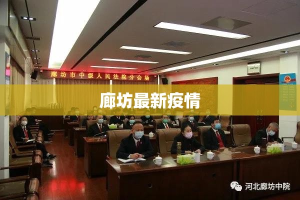 廊坊最新疫情/廊坊疫情最新通知