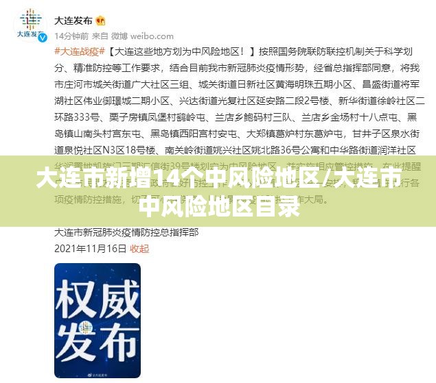 大连市新增14个中风险地区/大连市中风险地区目录