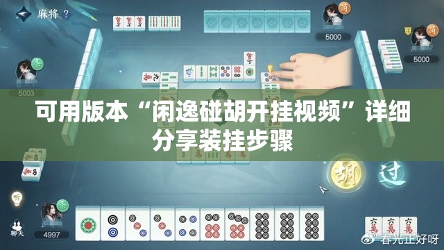 可用版本“闲逸碰胡开挂视频”详细分享装挂步骤