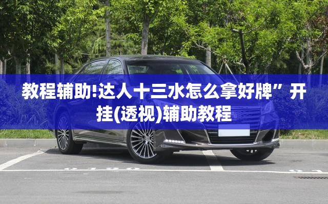 教程辅助!达人十三水怎么拿好牌”开挂(透视)辅助教程