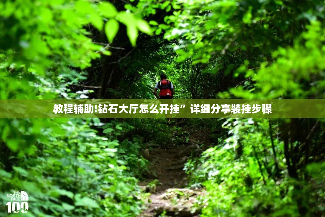 教程辅助!钻石大厅怎么开挂”详细分享装挂步骤