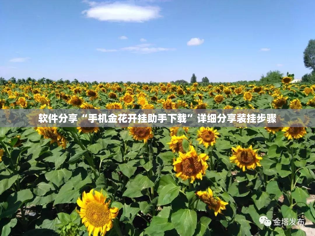 软件分享“手机金花开挂助手下载	”详细分享装挂步骤