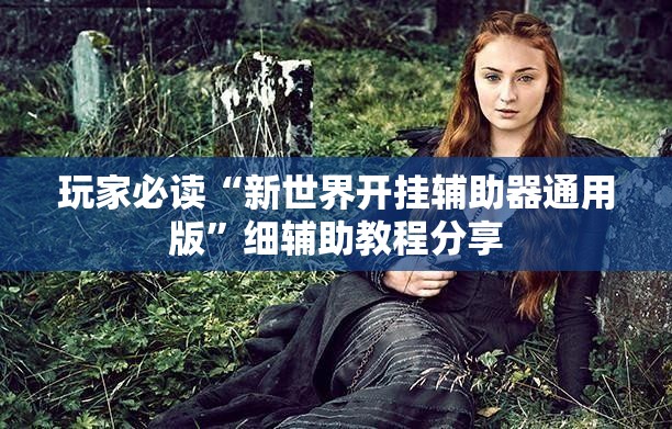 玩家必读“新世界开挂辅助器通用版”细辅助教程分享