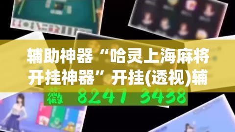 辅助神器“哈灵上海麻将开挂神器”开挂(透视)辅助神器