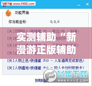 实测辅助“新漫游正版辅助软件”(透视挂)辅助下载教程
