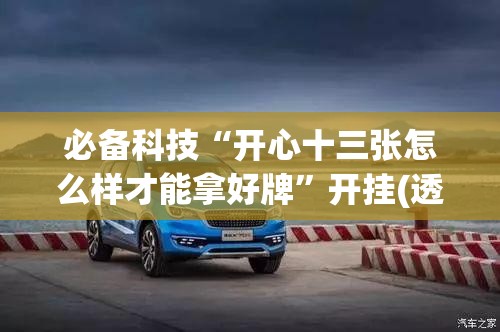 必备科技“开心十三张怎么样才能拿好牌”开挂(透视)最新辅助详细