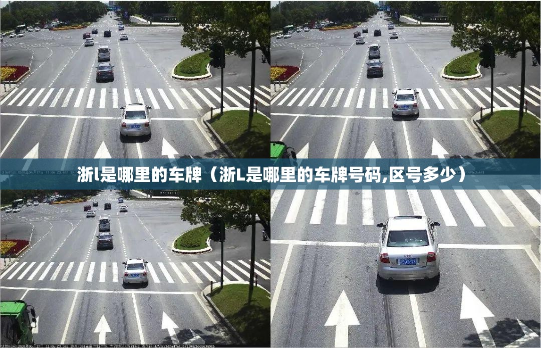 浙l是哪里的车牌（浙L是哪里的车牌号码,区号多少）