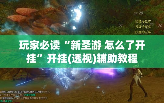 玩家必读“新圣游 怎么了开挂”开挂(透视)辅助教程