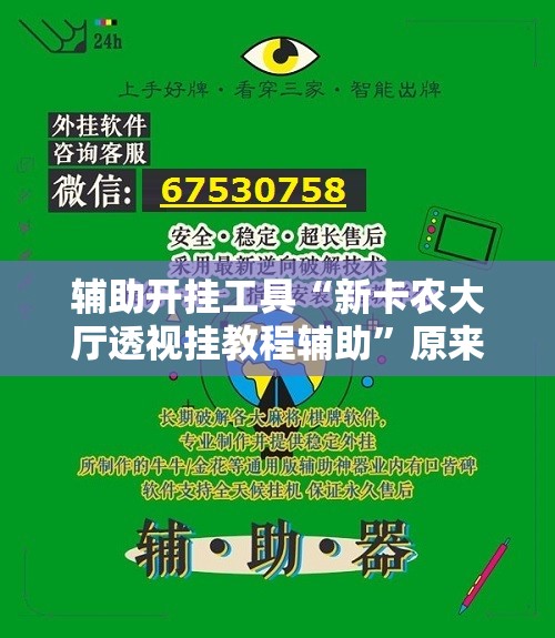 辅助开挂工具“新卡农大厅透视挂教程辅助	”原来可以开挂