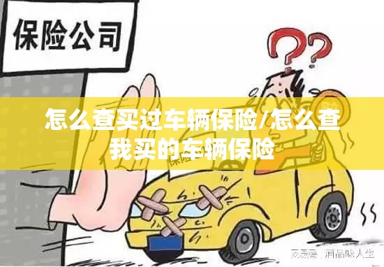 怎么查买过车辆保险/怎么查我买的车辆保险