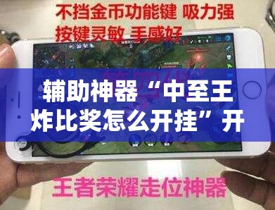 辅助神器“中至王炸比奖怎么开挂	”开挂详细教程