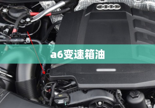 a6变速箱油:a6变速箱油加几升