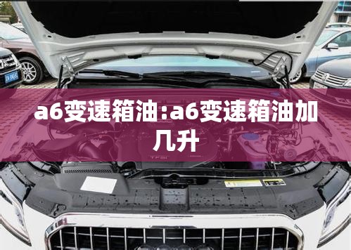a6变速箱油:a6变速箱油加几升