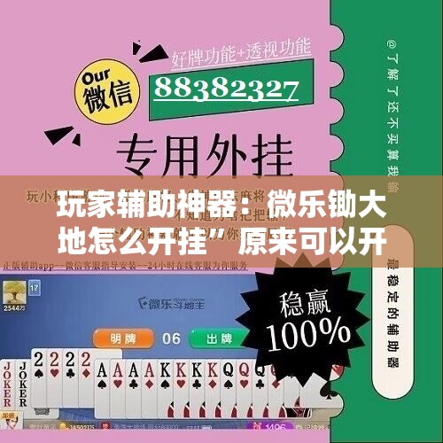玩家辅助神器：微乐锄大地怎么开挂”原来可以开挂