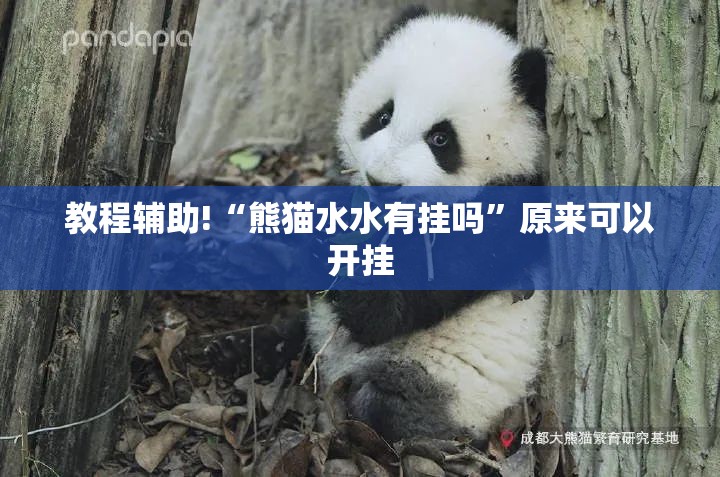 教程辅助!“熊猫水水有挂吗”原来可以开挂
