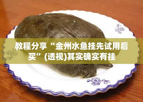 教程分享“金州水鱼挂先试用后买”(透视)其实确实有挂