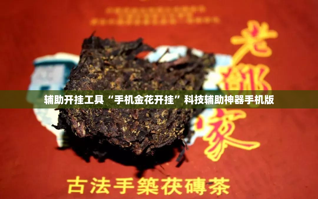 辅助开挂工具“手机金花开挂”科技辅助神器手机版