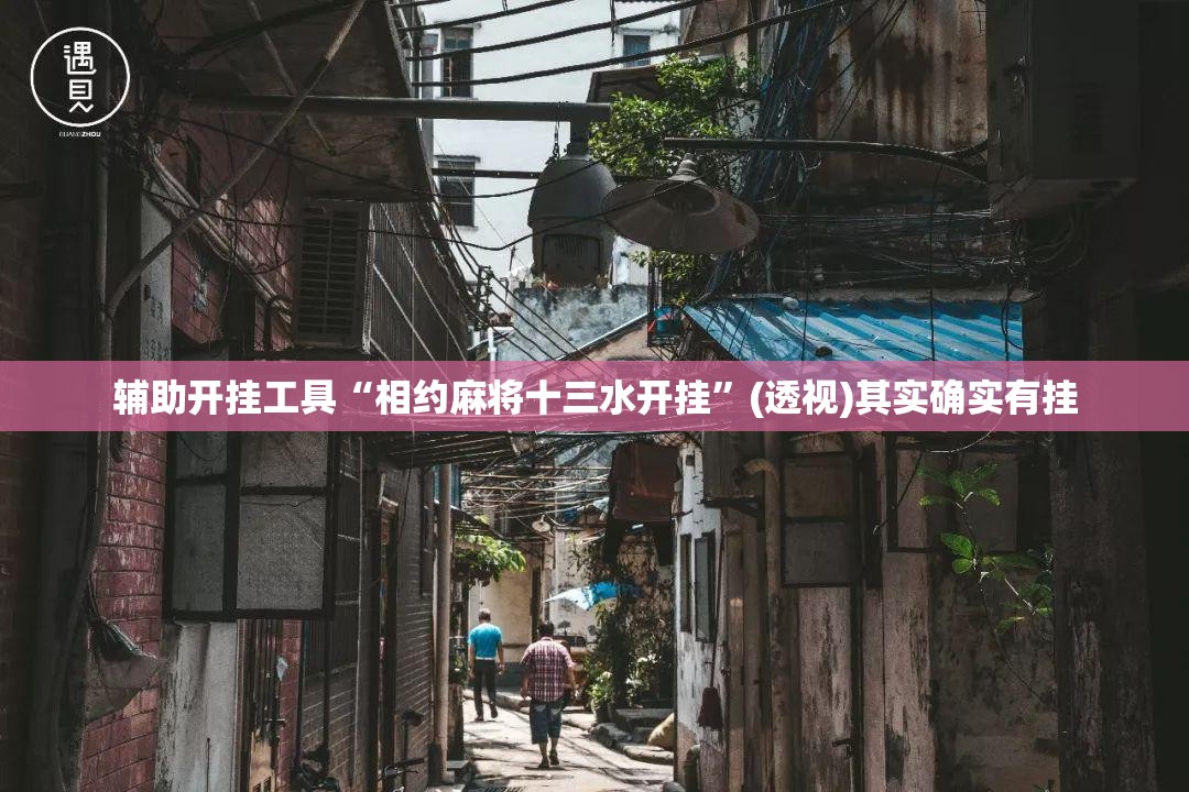 辅助开挂工具“相约麻将十三水开挂”(透视)其实确实有挂