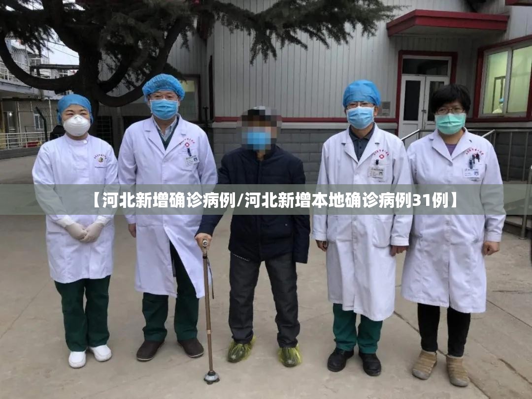 【河北新增确诊病例/河北新增本地确诊病例31例】